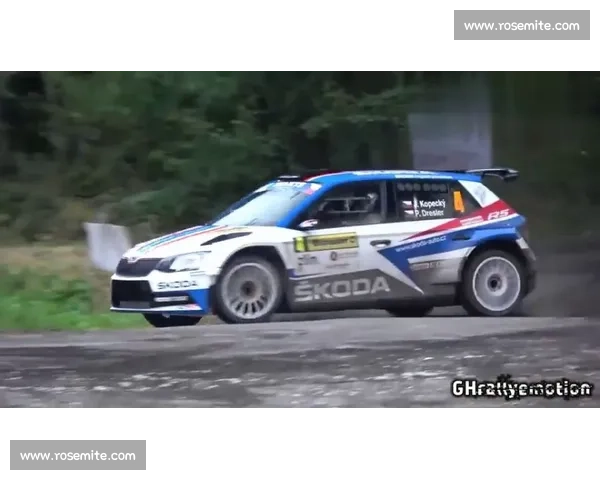 期待爆棚!WRC世界拉力赛新赛程,又是一场速度的较量